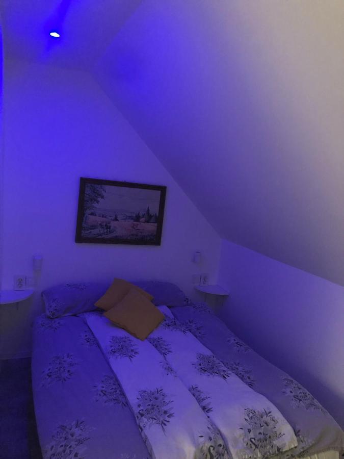 Holiday House Apartments Dajcic Varazdinske Toplice Extérieur photo