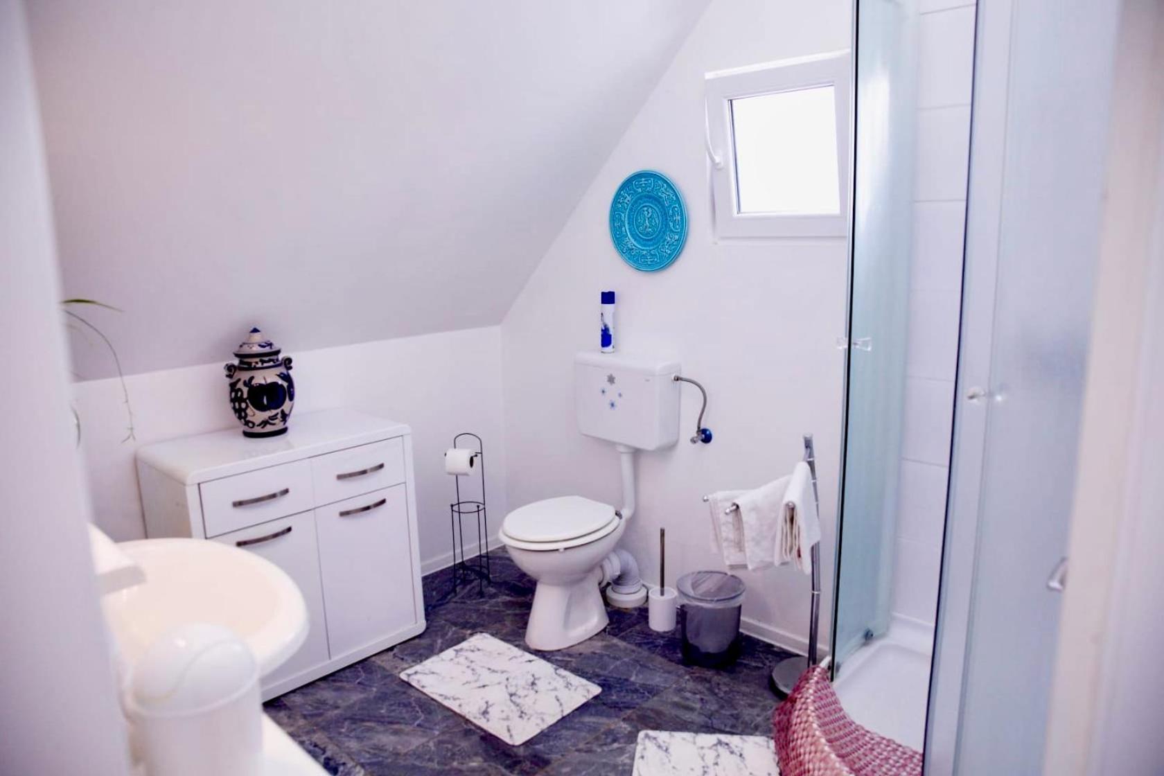 Holiday House Apartments Dajcic Varazdinske Toplice Extérieur photo