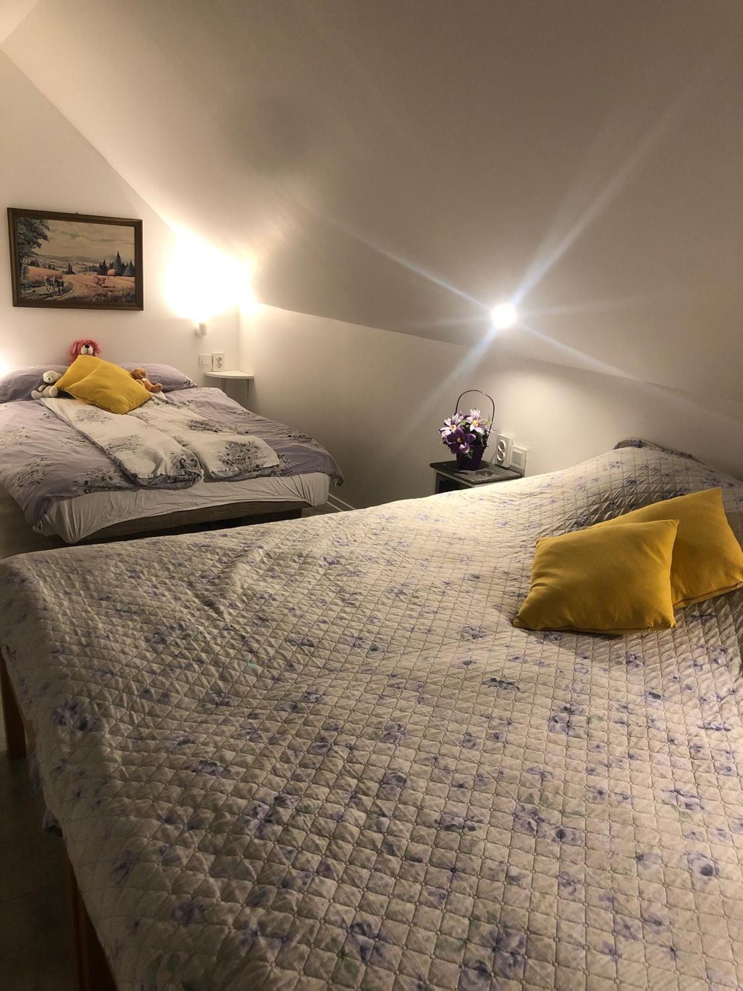 Holiday House Apartments Dajcic Varazdinske Toplice Extérieur photo